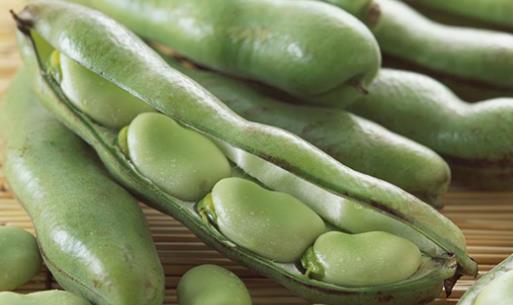 蠶豆什么時候成熟?蠶豆什么時候上市?