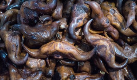 3月份的菱角可以吃嗎?菱角什么時候吃最好?