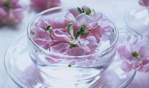 桃花酒什么時候喝好?桃花酒最佳飲用時間