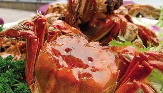 盤錦河蟹什么時(shí)候最好?盤錦河蟹什么時(shí)候最肥