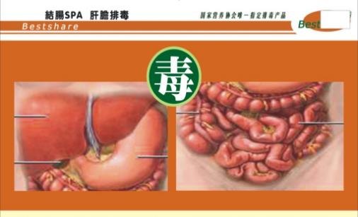 人在什么時候會排毒 人體一日排毒時間表