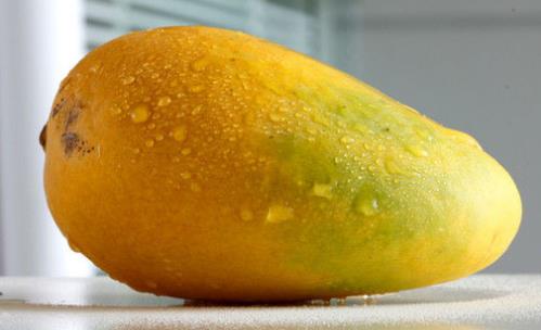 芒果什么時候吃最好 芒果最佳食用時間