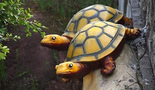 烏龜什么時候冬眠 烏龜冬眠時間