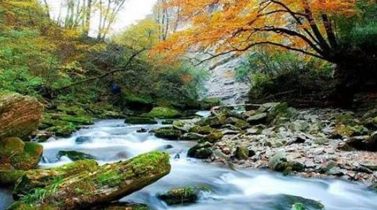 2018黎坪紅葉節什么時候開始 黎坪紅葉節開始時間