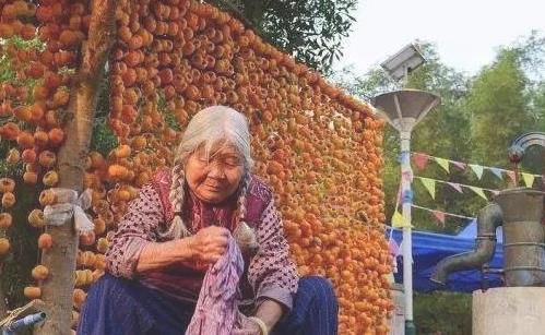 2018恭城柿子節是什么時候 恭城柿子節開始時間