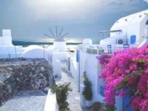 ϣ�D������ѕr�g ϣ�D����ʲô�r���