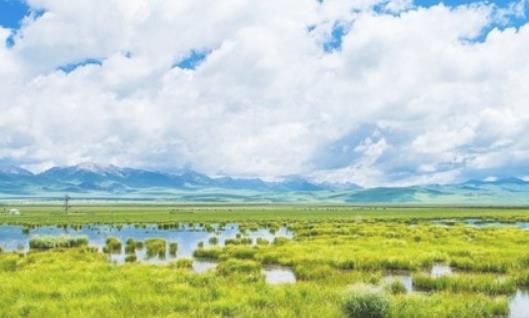 若爾蓋花湖最佳時間是什么時候 若爾蓋花湖最佳時間