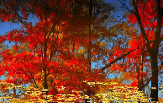 長嶺村看紅葉什么時候去好 長嶺村最佳旅游時間