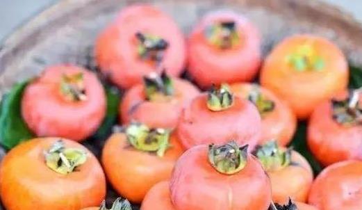 2018恭城柿子節是什么時候 恭城柿子節時間