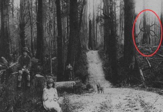 二、瘦長鬼影slender man.jpg