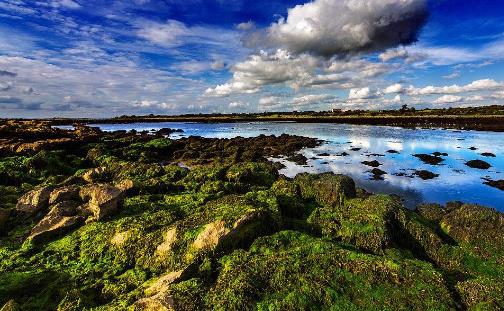 全球最高工資的前十個國家排行榜,美國人均年收入5.5萬美元