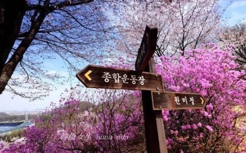 韓國十大城市排行榜,首爾第一,釜山第二