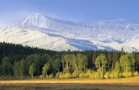 非洲十大頂級國家公園排行榜,馬賽馬拉國家保護區第一