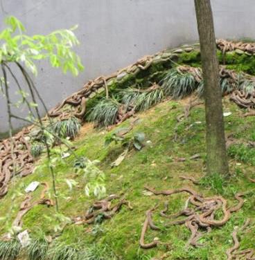 全球十大驚悚地點排行榜,三宅島充滿臭味!