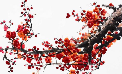 十大世界上最美的花排行榜,薰衣草第一,藍色妖姬第二