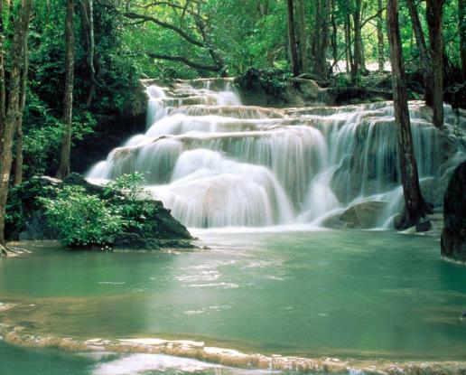 男生最吃香的十大專業排行榜,電子商務專業人才市場緊缺!