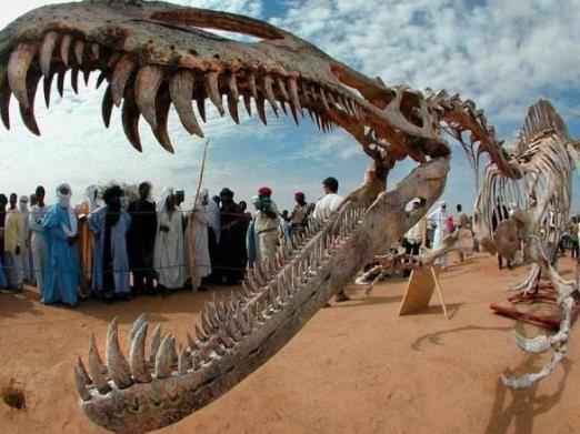 十大冷門專業排行榜,園林工程技術專業待遇好工資高