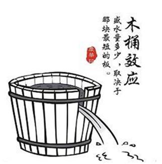 心理學十大效應排行榜,木桶效應最出名,羊群效應第二