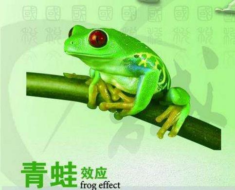 心理學(xué)十大經(jīng)典定律排行榜,青蛙效應(yīng)你知道是怎么回事嗎?
