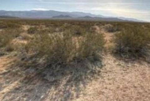 壽命最長的十大植物排行榜,波西多尼亞海草最長壽命有100000年!