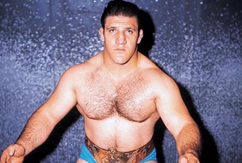 史上十大最佳摔跤選手排行榜,瑞克·佛萊爾是最偉大的摔跤手!