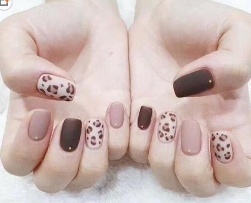 2019年4款最新最好看的美甲造型排行榜,總有一款你會喜歡