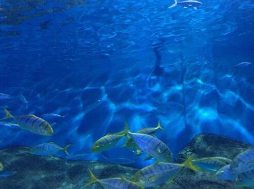 南京10個最適合帶孩子游玩的景點排行,南京科技館必去!