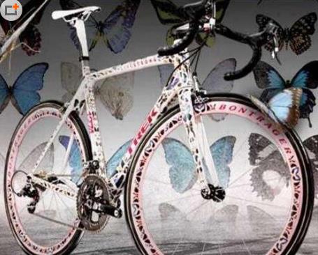 世界最貴的4款自行車排名,蝴蝶Trek Madone價值50萬美元