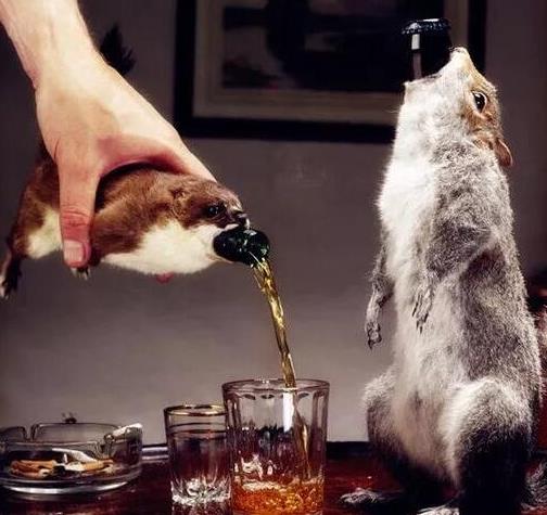 世界上最貴的5瓶啤酒排名,堂吉訶德啤酒2500美元一瓶