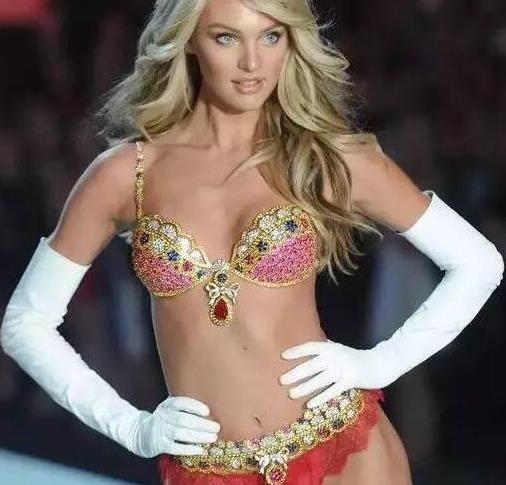 世界上最貴的5款內(nèi)衣排名,F(xiàn)antasy Bra高達(dá)一億元