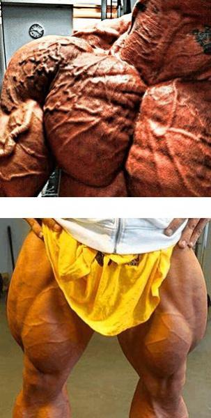 地球五大最強(qiáng)體脂率超低的人排名,李小龍、施瓦辛格都不能比