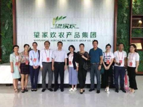 果蔬配送十大品牌排行榜,望家歡、HAOLIFE好生活在家就能買菜