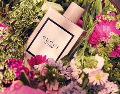 gucci最暢銷香水排名,Gucci Bloom、Gucci Floral魅惑木蘭很香