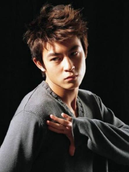 中國(guó)最帥的男明星排名,吳彥祖、王力宏有才也有顏