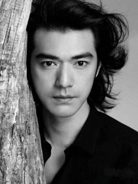 中國(guó)最帥的男明星排名,吳彥祖、王力宏有才也有顏