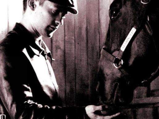 哈佛大學十大勵志電影排名,阿甘正傳、美麗心靈都是經典