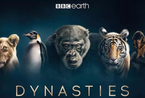 9.5分以上的紀錄片排名,生命、王朝優秀又經典