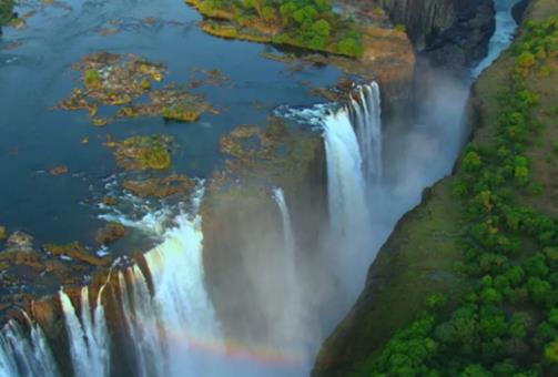 9.5分以上的紀錄片排名,生命、王朝優秀又經典