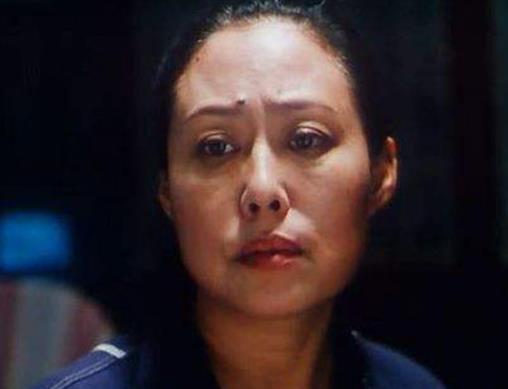 十大感人國產電影排行榜,《媽媽再愛我一次》《可可西里》引人淚目