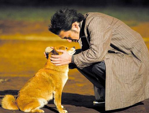 十大感人的狗狗電影,《忠犬八公的故事》《一條狗的使命》催人淚下
