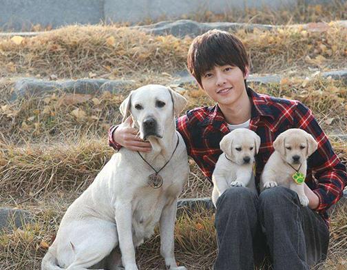 十大感人的狗狗電影,《忠犬八公的故事》《一條狗的使命》催人淚下