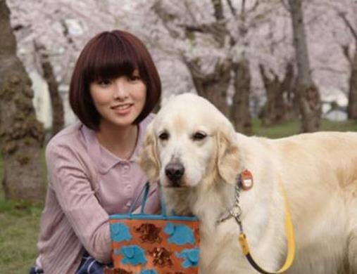 十大感人的狗狗電影,《忠犬八公的故事》《一條狗的使命》催人淚下