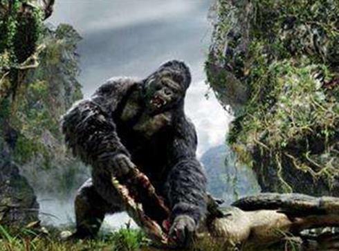 美國十大叢林電影排名,鐵血戰士、剛果驚魂效果很震撼