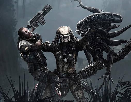 美國十大叢林電影排名,鐵血戰士、剛果驚魂效果很震撼