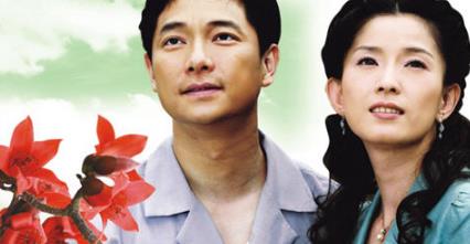 超級(jí)感人催淚的電視劇排名,《梨花淚》《櫻桃》都是苦情戲