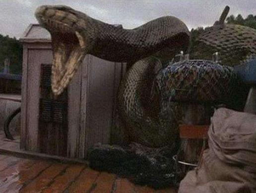 亞馬遜探險電影排名,狂蟒之災、剛果驚魂都很刺激