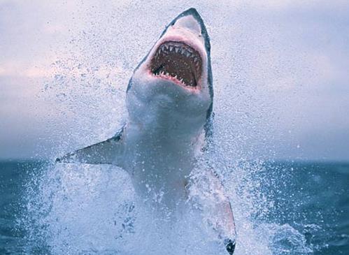 十部深海逃生電影排名,水底禁錮Pressure劇情很驚險