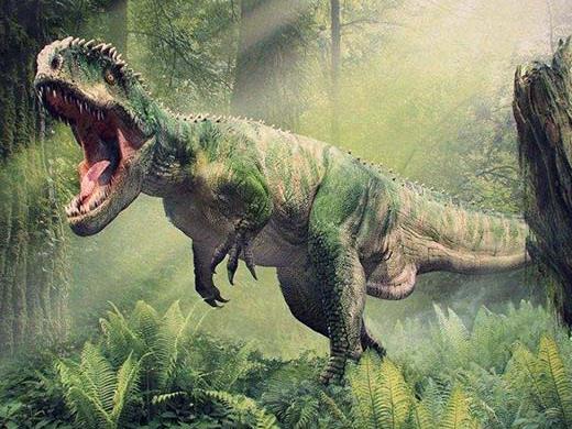 歐美十大動作科幻電影排名,蝙蝠俠系列、X戰警系列都很震撼