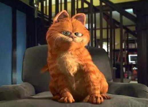 十大勵志動畫電影排名,《瓦力》《獅子王》放松心靈