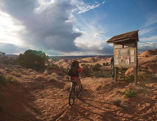 全球十大冒險電影排名,重見天日、荒島余生很驚險刺激